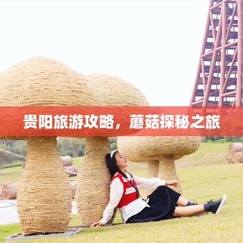 貴陽旅游攻略,蘑菇探秘之旅