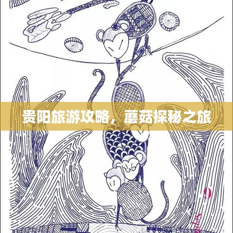 貴陽旅游攻略,蘑菇探秘之旅