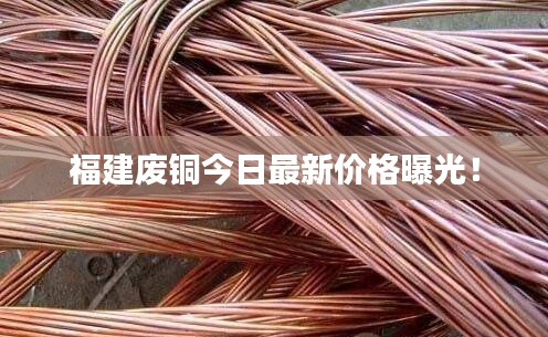 福建廢銅今日最新價格曝光！