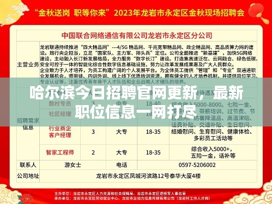 哈爾濱今日招聘官網(wǎng)更新，最新職位信息一網(wǎng)打盡