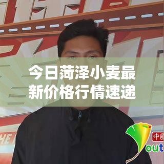 今日菏澤小麥最新價格行情速遞