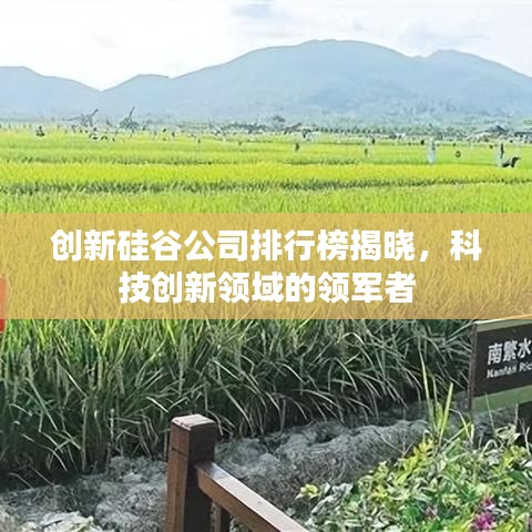 創新硅谷公司排行榜揭曉,科技創新領域的領軍者