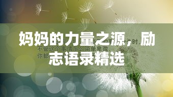 媽媽的力量之源，勵志語錄精選