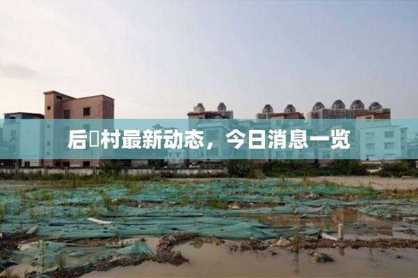 后滘村最新動態,今日消息一覽
