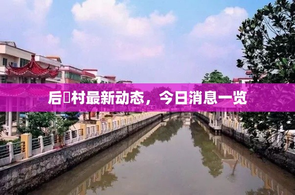 后滘村最新動態,今日消息一覽