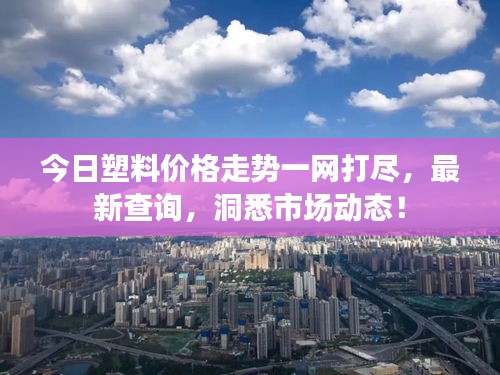 今日塑料價(jià)格走勢一網(wǎng)打盡,最新查詢,洞悉市場動態(tài)!