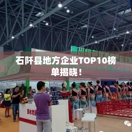 石阡縣地方企業(yè)TOP10榜單揭曉!