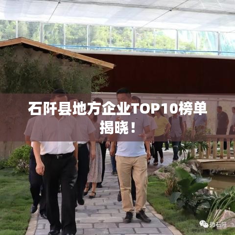 石阡縣地方企業(yè)TOP10榜單揭曉!