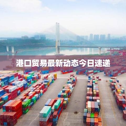港口貿易最新動態今日速遞