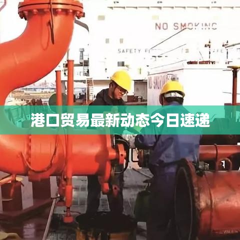 港口貿易最新動態今日速遞