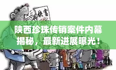 陜西珍珠傳銷案件內幕揭秘,最新進展曝光!