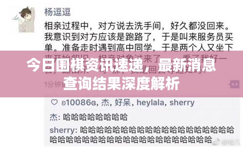 今日圍棋資訊速遞,最新消息查詢結果深度解析