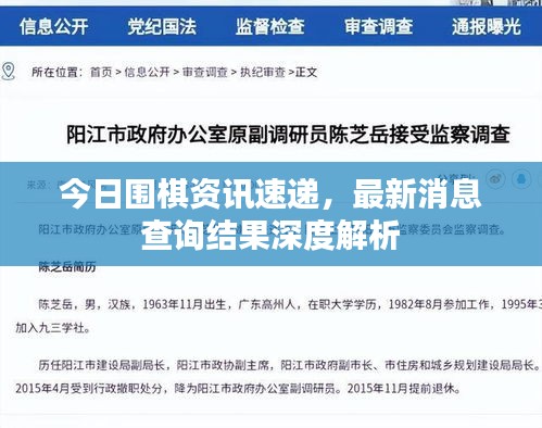 今日圍棋資訊速遞,最新消息查詢結果深度解析