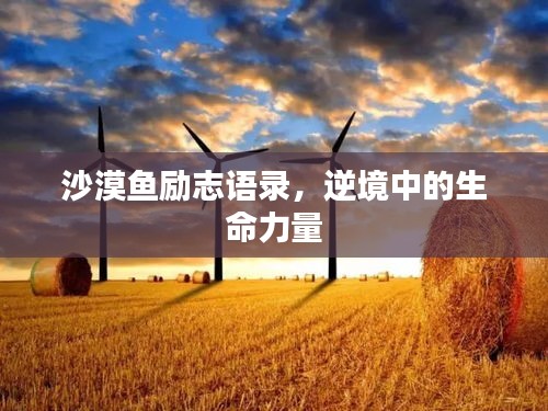 沙漠魚勵志語錄,逆境中的生命力量