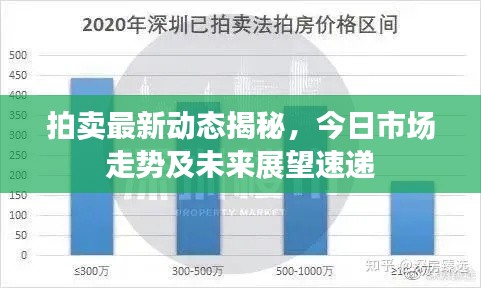 拍賣最新動態揭秘,今日市場走勢及未來展望速遞