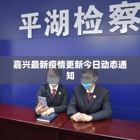 嘉興最新疫情更新今日動態通知