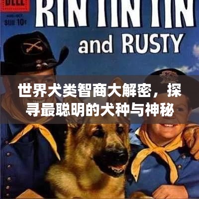世界犬類智商大解密,探尋最聰明的犬種與神秘低智商犬種之謎!
