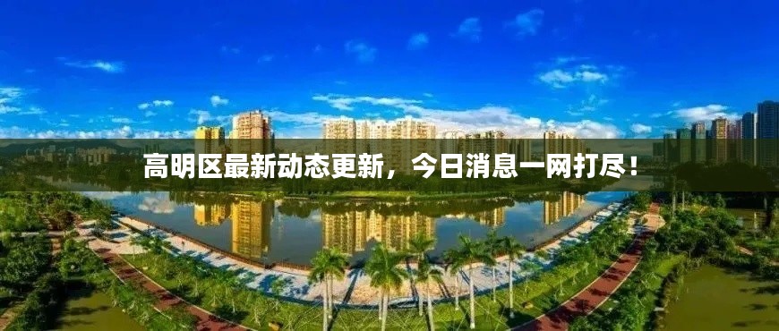 高明區最新動態更新，今日消息一網打盡！