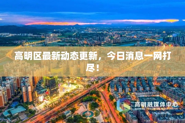 高明區最新動態更新,今日消息一網打盡!