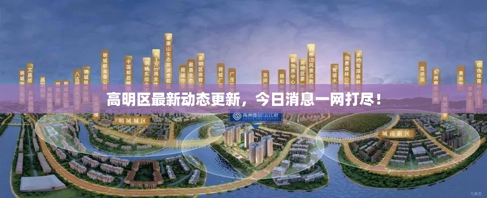 高明區最新動態更新,今日消息一網打盡!