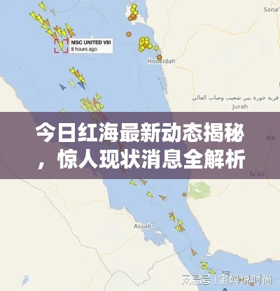 今日紅海最新動態(tài)揭秘,驚人現(xiàn)狀消息全解析!