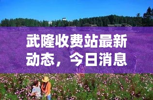 武隆收費站最新動態,今日消息全解析