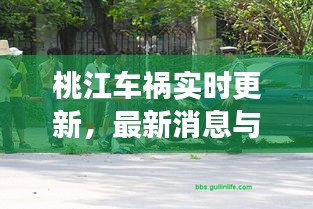 桃江車禍實時更新,最新消息與現場情況揭秘