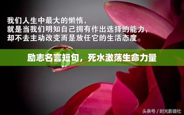 勵志名言短句,死水激蕩生命力量