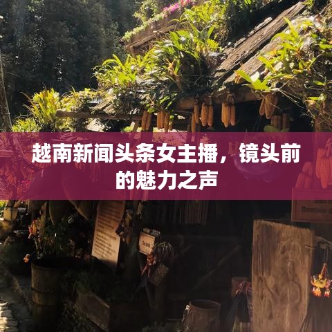 越南新聞頭條女主播,鏡頭前的魅力之聲