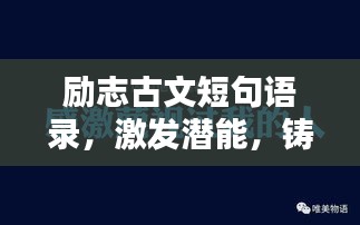 流光飛舞 第4頁(yè)