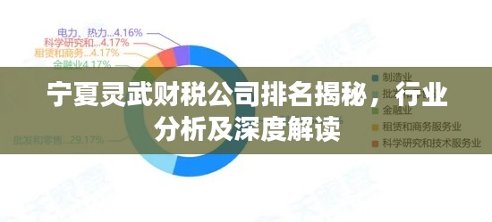 寧夏靈武財(cái)稅公司排名揭秘,行業(yè)分析及深度解讀