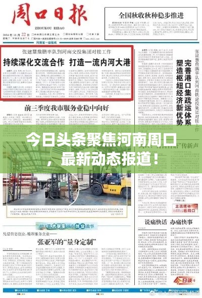 今日頭條聚焦河南周口,最新動態報道!
