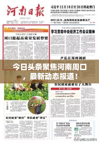 今日頭條聚焦河南周口,最新動態(tài)報道!