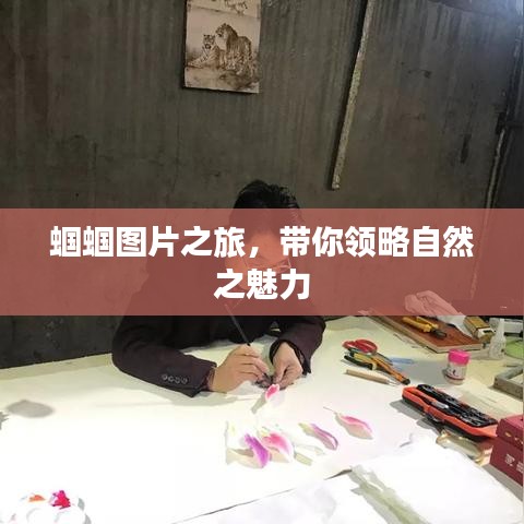 蟈蟈圖片之旅,帶你領略自然之魅力