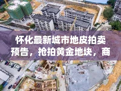 懷化最新城市地皮拍賣預告,搶拍黃金地塊,商機無限!