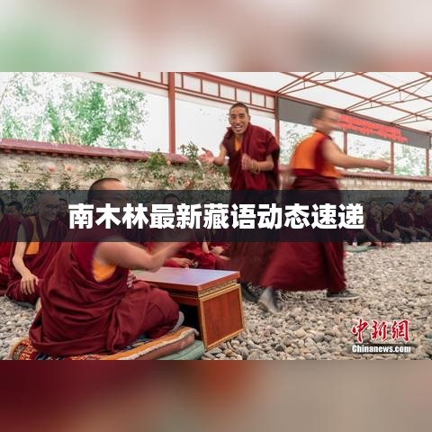 南木林最新藏語動態速遞