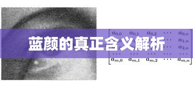 藍顏的真正含義解析