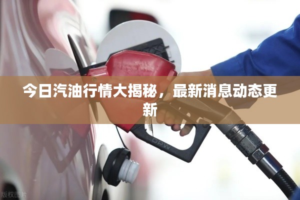 今日汽油行情大揭秘,最新消息動態更新