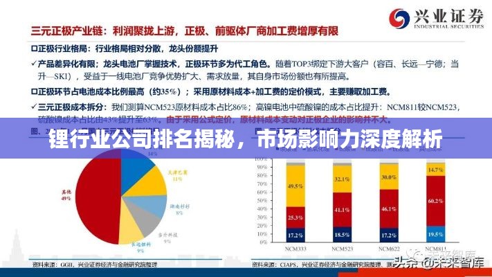 鋰行業(yè)公司排名揭秘，市場影響力深度解析