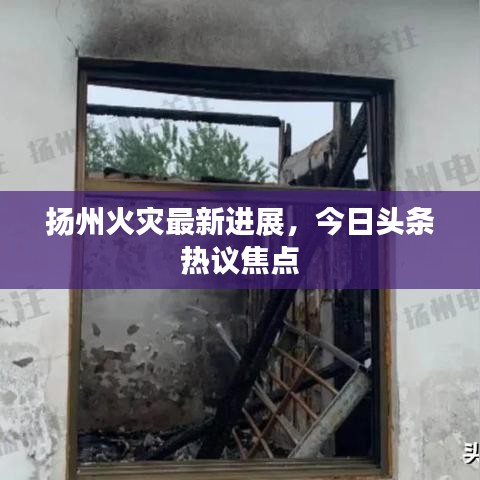 揚州火災最新進展,今日頭條熱議焦點