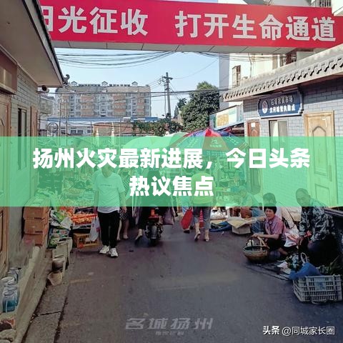 揚州火災最新進展,今日頭條熱議焦點