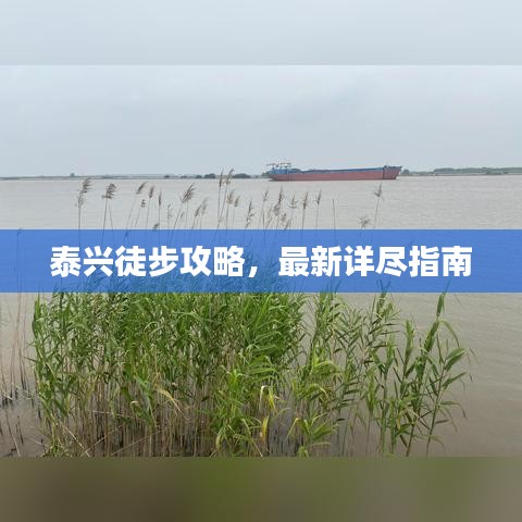 泰興徒步攻略,最新詳盡指南