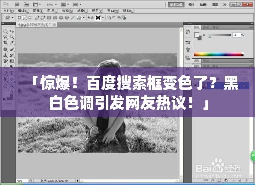 「驚爆!百度搜索框變色了?黑白色調引發網友熱議!」