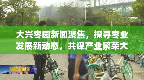 大興棗園新聞聚焦,探尋棗業發展新動態,共謀產業繁榮大計