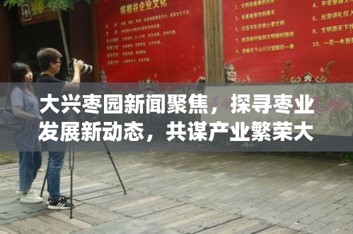 大興棗園新聞聚焦,探尋棗業(yè)發(fā)展新動(dòng)態(tài),共謀產(chǎn)業(yè)繁榮大計(jì)