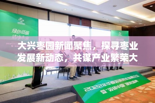 大興棗園新聞聚焦,探尋棗業(yè)發(fā)展新動(dòng)態(tài),共謀產(chǎn)業(yè)繁榮大計(jì)