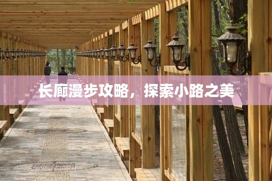 長廊漫步攻略,探索小路之美