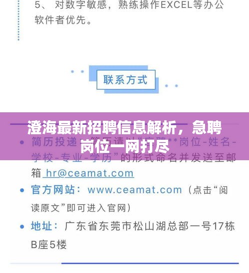 澄海最新招聘信息解析，急聘崗位一網打盡