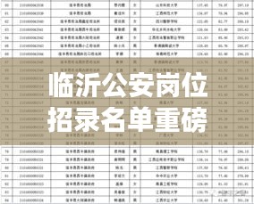 臨沂公安崗位招錄名單重磅更新！最新公布名單揭曉