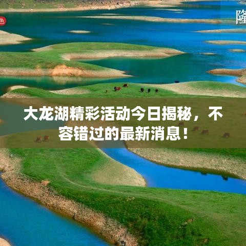大龍湖精彩活動今日揭秘,不容錯過的最新消息!